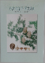 小宮和加子画文集Ⅱ