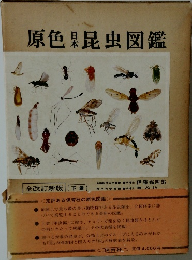 原色日本昆虫図鑑