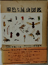 原色日本昆虫図鑑