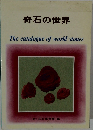奇石の世界