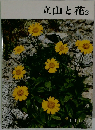 立山と花2