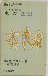 嵐が丘[上]