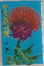 やくざ天使