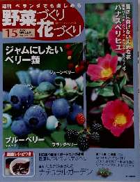 週刊 ベランダでも楽しめる 野菜づくり花づくり 2010-6-13
