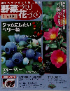 週刊 ベランダでも楽しめる 野菜づくり花づくり 2010-6-13