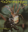 ベッコウバチのクモがり （ぼくのさんすう・わたしのりか）