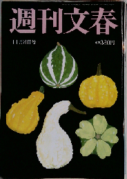 週刊文春 2012年11月8日 水崎綾女