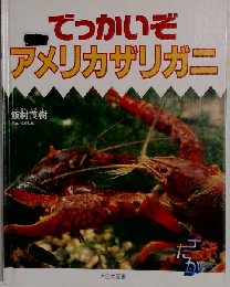でっかいぞアメリカザリガニ