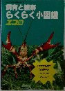 ジュニア自然大図鑑別冊付録飼育と観察らくらく小図鑑