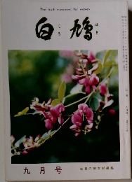 白鳩
