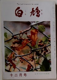 白鳩　十二月号