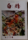 白鳩　十二月号