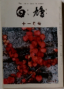 白:鳩　十一月号