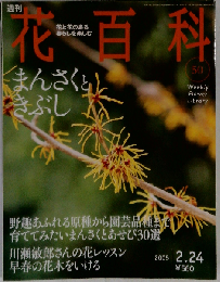 週刊 花百科 50