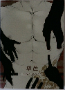 単色
