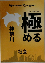 高校入試対策テキスト極める
