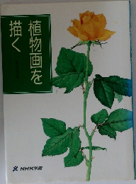 植物画を描く