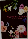 Chikyu Brand Catalogue 2013-2015 edition