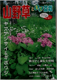 山野草とミニ盆栽 Vol.61