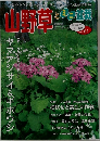 山野草とミニ盆栽 Vol.61