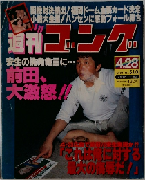 週刊ゴング　1994年4/28号　No.510　