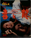 プロレス　1994.1.22