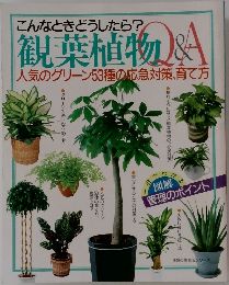 こんなときどうしたら?　観葉植物Q&A　人気のグリーン53種の応急対策、育て方