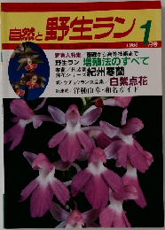 自然と野生ラン　1988年1月号