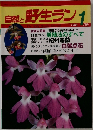 自然と野生ラン　1988年1月号