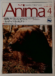 Anima　1991年4月号　No.223