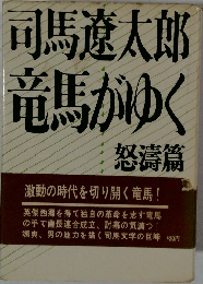 竜馬がゆく　怒濤篇