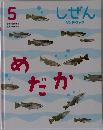 しぜん5　めだか