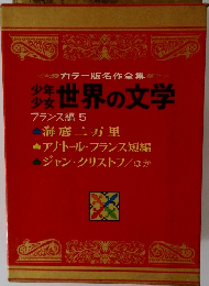 カラー版名作全集　世界の文学　フランス編 5