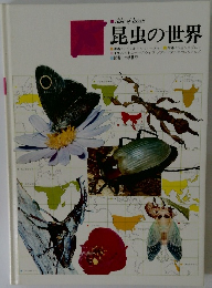 昆虫の世界　