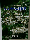 大分の自然に生きる植物　豊の国大分の植物誌 増補