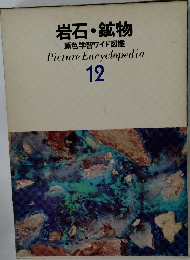 岩石・鉱物  原色学習ワイド図鑑　12