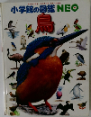 小学館の図鑑NEO　鳥