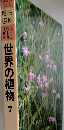 朝日百科   世界の植物 7 