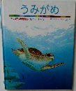 うみがめ　8