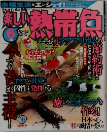 樂しい熱帶魚 2010年6月