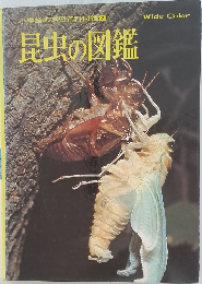 小学館の学習百科図鑑　2　昆虫の図鑑