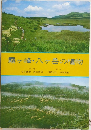 霧ヶ峰・八ヶ岳の植物