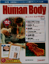 Human Body  152