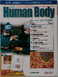 週刊 インサイド・ヒューマンボディ 2008 5/13