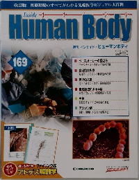 Human Body　169