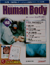 Human Body 　168