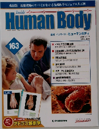Human Body　163