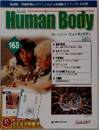 Human　Body　165　