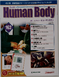週刊 インサイド・ヒューマンボディ　2008年4/8号 162
