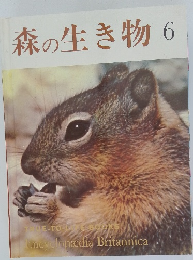 森の生き物　6